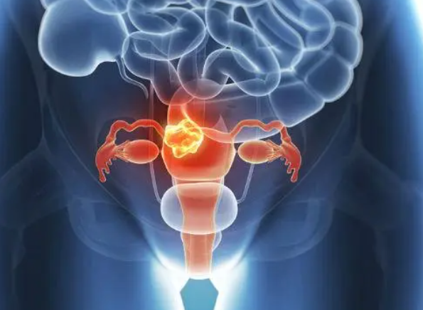 卵巢早衰会影响卵泡发育成熟