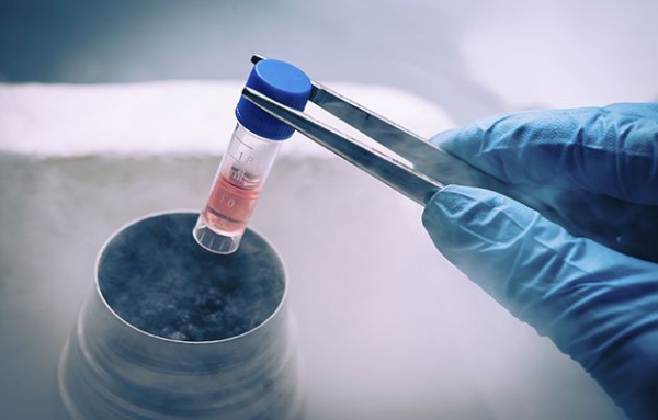胚胎慢速冷冻和快速冷冻的区别影响胚胎质量吗?