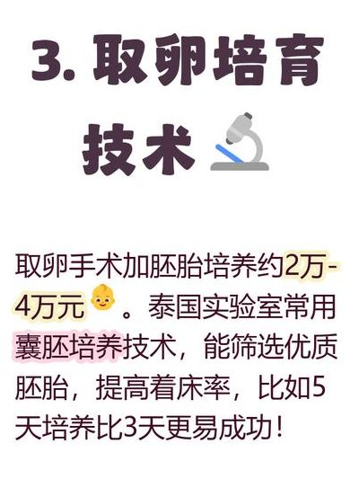 泰国自助试管费用全攻略：6笔开销明细帮你算清最少要花多少钱