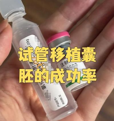 试管婴儿的成功率有多高？别信单一数字，你的年龄和胚胎质量才是答案。