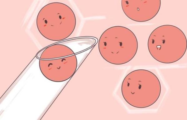 7个成熟卵泡可以转化多少胚胎