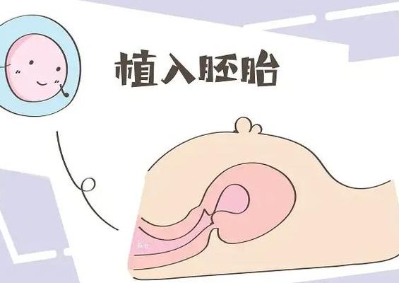 43岁试管成功率对比：自然周期与人工周期谁更胜一筹