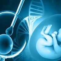 杭州试管婴儿医院全攻略：哪里可以做试管？