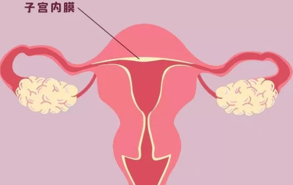 子宫内膜厚度对试管的影响