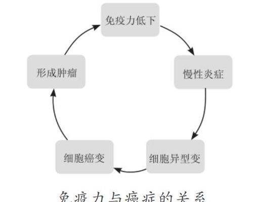 试管取多少个卵比较好？4个判断维度帮你选出合适数量