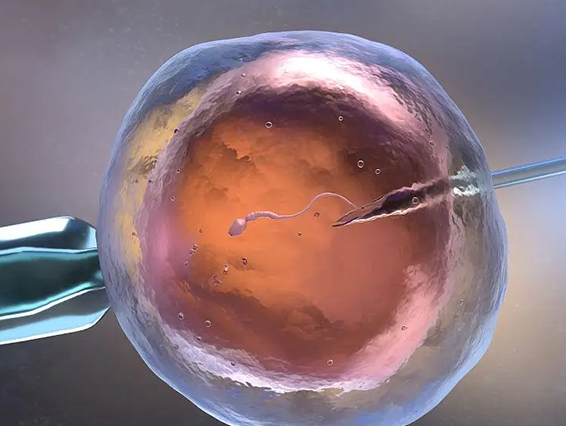 卵巢早衰可以做试管