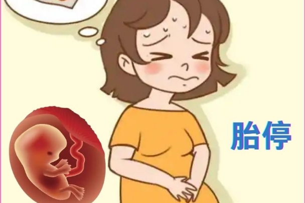 胎停后科学备孕还是会怀孕