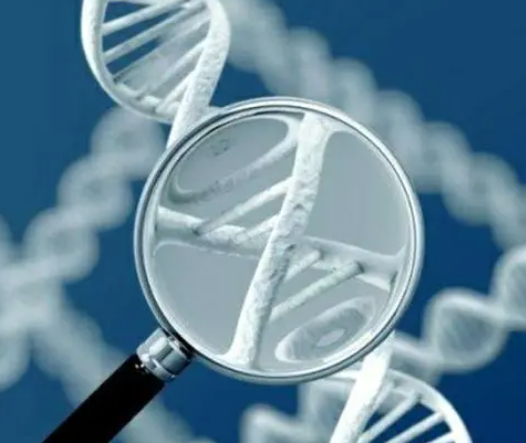 三代试管能进行遗传病筛选