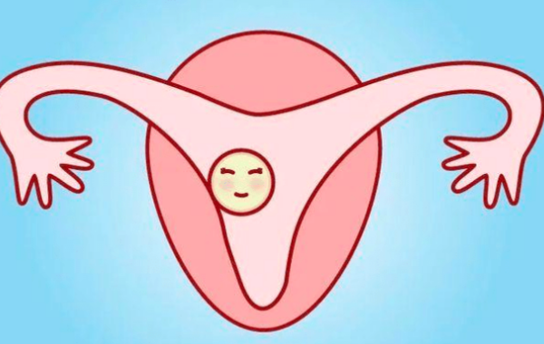 幼稚子宫、子宫偏小、子宫萎缩都可以做供卵吗