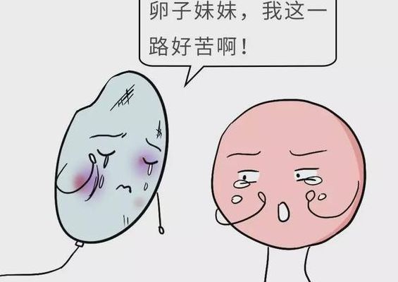 做试管婴儿哪个医院成功率高需要多少钱 过来人帮你梳理5笔费用价格明细