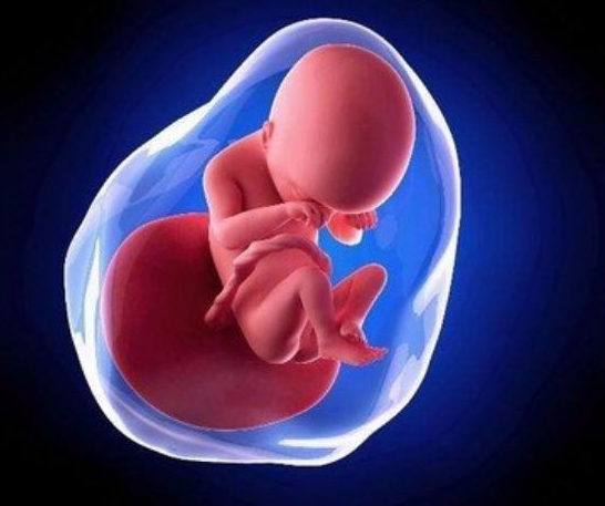 移植筛选的胚胎也会发育异常
