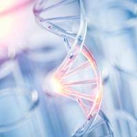 染色体异常与发育迟缓：科学认知与应对