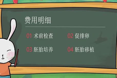 在成都做婴儿试管怎么样？成功率与费用全解析