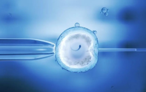 胚胎培养费用的构成