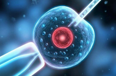供卵胚胎移植有风险