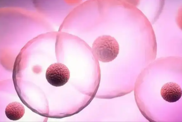 没卵泡做<a href=