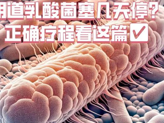 移植前为什么塞乳酸菌？先查菌群再决定，别自己乱塞