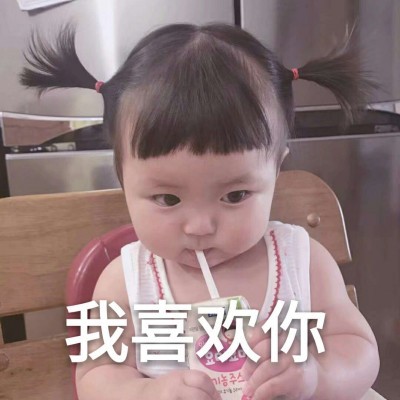 雪月花风头像