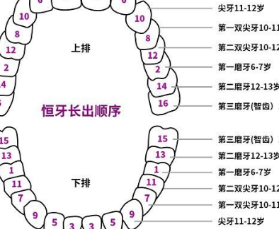 试管婴儿流程与费用图来了，过来人帮你梳理8笔开销明细