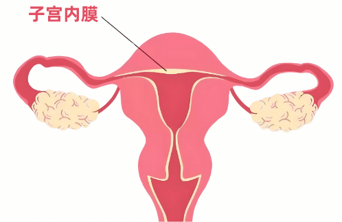 试管子宫内膜薄成功经验