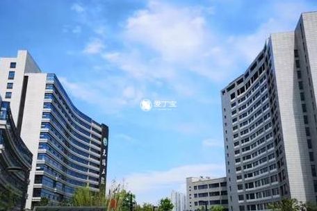 浙江最厉害三个试管医院是哪三家？成功率最高达70%