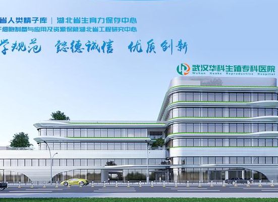 武汉市做试管的医院有哪些？先分清公立和私立再选