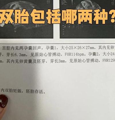 试管移植囊胚14天血值参考范围：单胎与双胎的PK，差距不止一点点