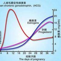 囊胚移植13天HCG仅28,保胎成功还有戏吗?