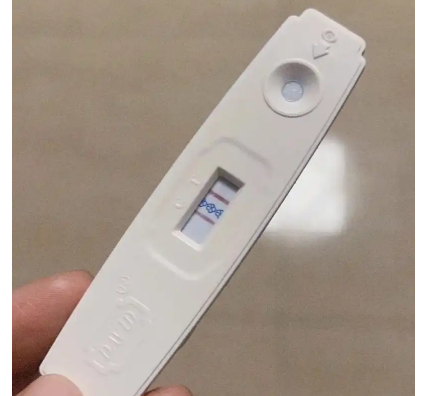 hcg在十周上升比较快