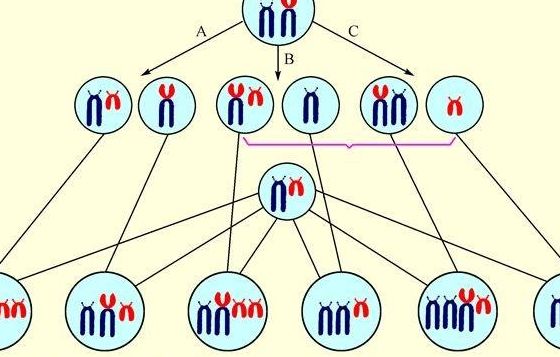 浙江三代试管15万怎么花？费用逐笔拆解，医保能报多少一篇说清