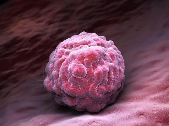 胚胎质量是着床关键因素