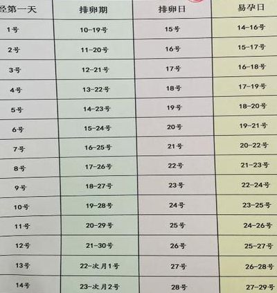 排卵期怎么算时间表最准确？备孕两年我终于敢说句大实话