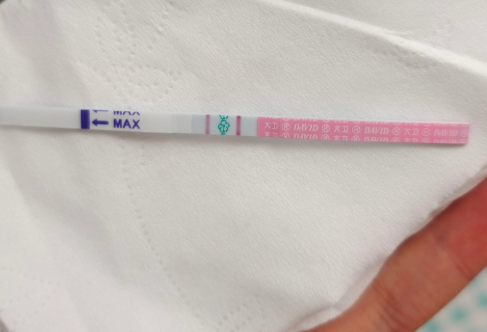 试纸强阳怀男孩几率较高