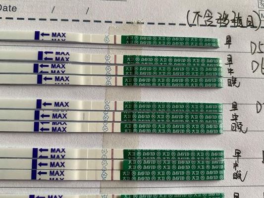 试管鲜胚一般第几天移植优质？我的真实经历和答案