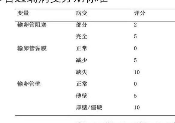 输卵管积水移植囊胚成功率高吗 2026共识给出关键答案