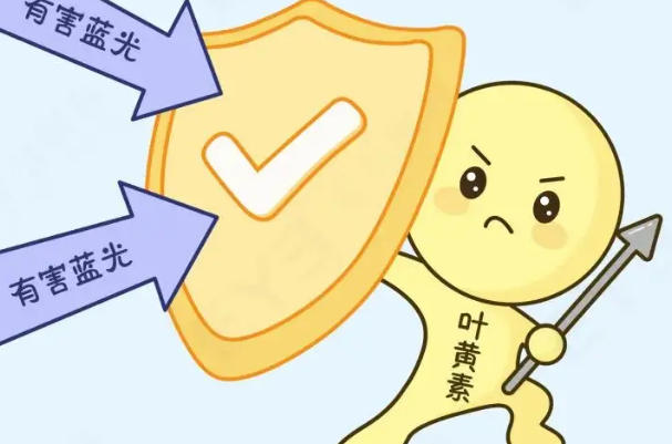 羽衣甘蓝富含叶黄素的食物
