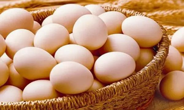 促排吃鸡蛋能促进卵泡增长