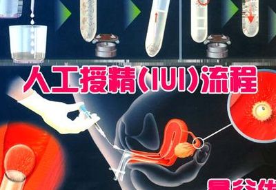 泰国第二代试管费用多少钱？过来人帮你梳理8笔开销明细