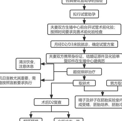 婴儿试管详细步骤,是一套比造火箭还精细的体内外生命接力