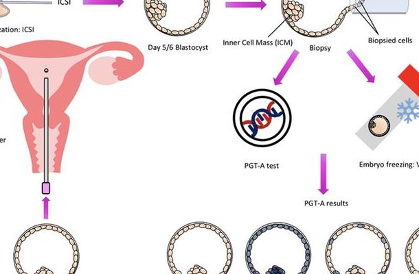 促排卵母细胞采集是伤身还是安全?两种试管方案的女性身体代价PK