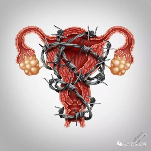 南华附二试管婴儿5个判断维度：选错一步多折腾半年