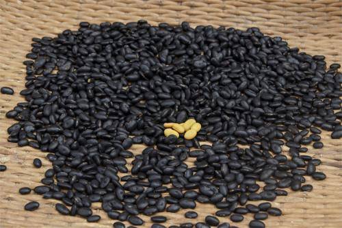 黑大豆的功效与作用及食用方法