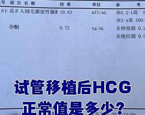 怀孕1-40天HCG对照表怎么看？试管多少钱？5笔开销拆解
