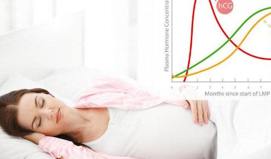 试管婴儿怎么算预产期？记住这三个时间点就行