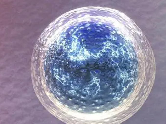 供卵的胚胎要放半年，解冻后质量会变差吗？
