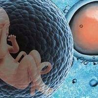 高龄生孩子：自然试孕PK试管助孕，哪条路更稳？
