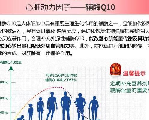 q10有什么作用和功效