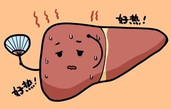 肝火旺的食谱