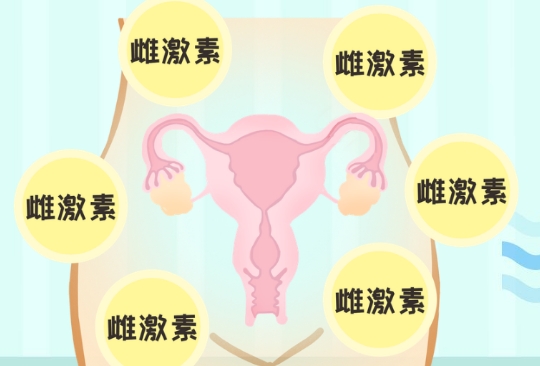 雌激素低试管移植不着床