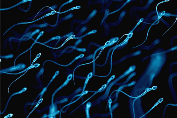 精子成活率30可以做人工授精